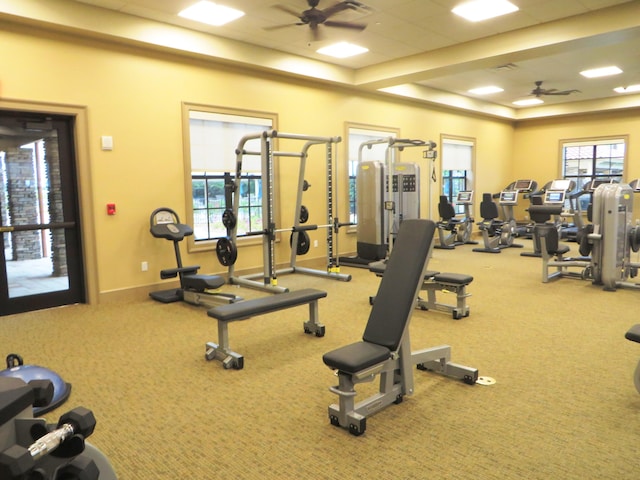 gym featuring carpet flooring and ceiling fan