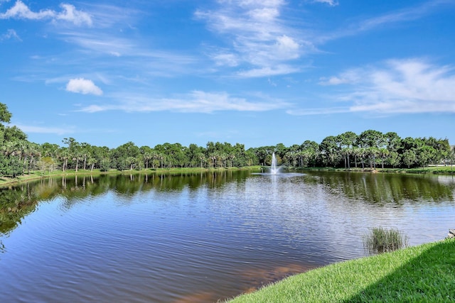 water view