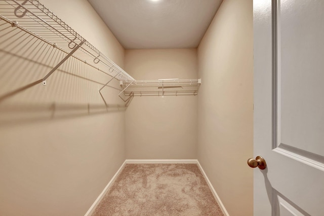 spacious closet with carpet floors