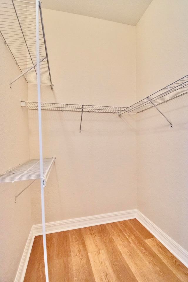 walk in closet with hardwood / wood-style floors