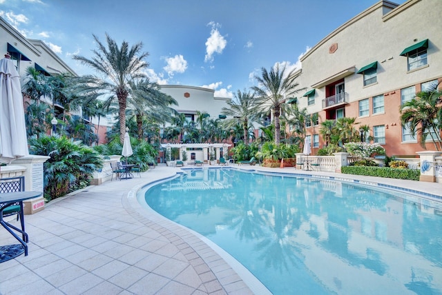 view of pool with a patio area