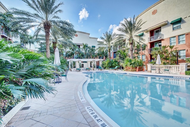 view of pool featuring a patio