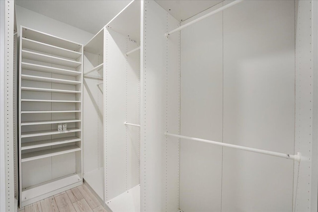 spacious closet featuring light hardwood / wood-style flooring