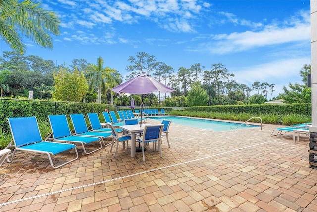 view of pool featuring a patio area