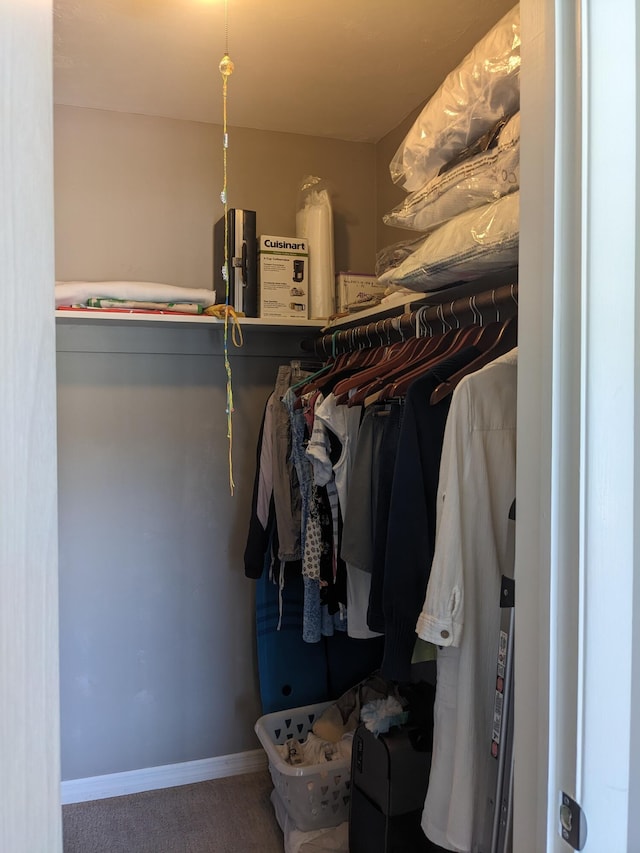 view of spacious closet