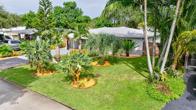 view of front facade featuring a front lawn