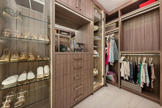 view of walk in closet