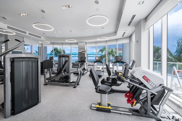 workout area with a wealth of natural light and carpet floors