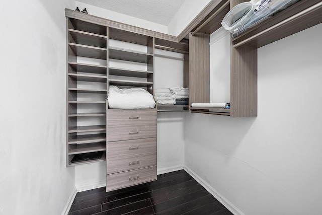 walk in closet with dark hardwood / wood-style floors