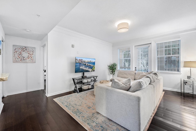 living room with ornamental molding and dark hardwood / wood-style flooring