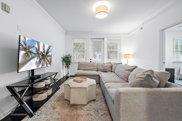 living room with wood-type flooring, ornamental molding, and a textured ceiling