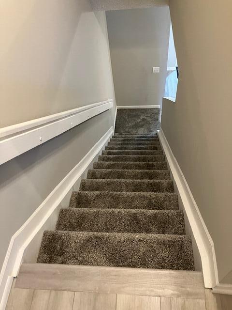 stairs featuring carpet floors