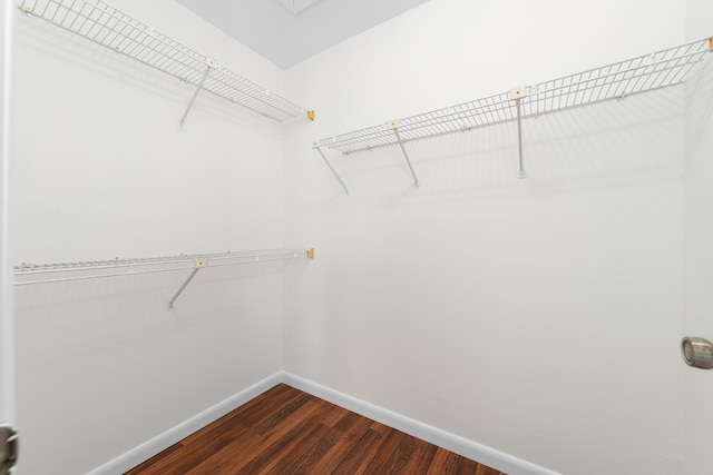 spacious closet with dark wood-type flooring