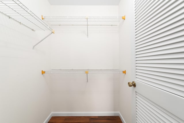 spacious closet featuring wood-type flooring