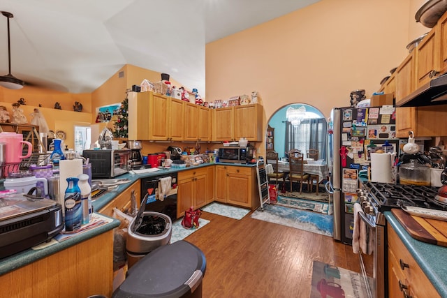 kitchen with light hardwood / wood-style flooring, high vaulted ceiling, stainless steel appliances, and extractor fan