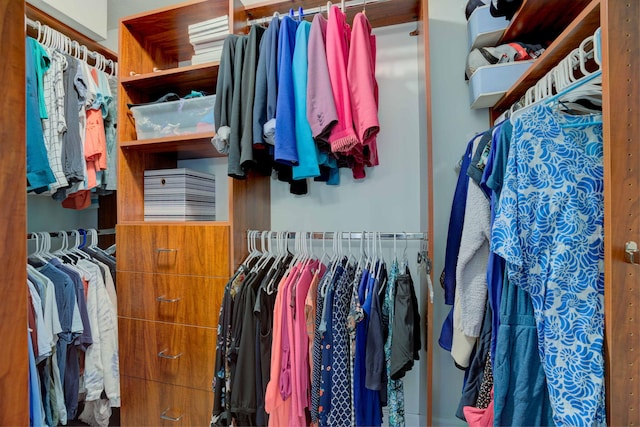 view of spacious closet