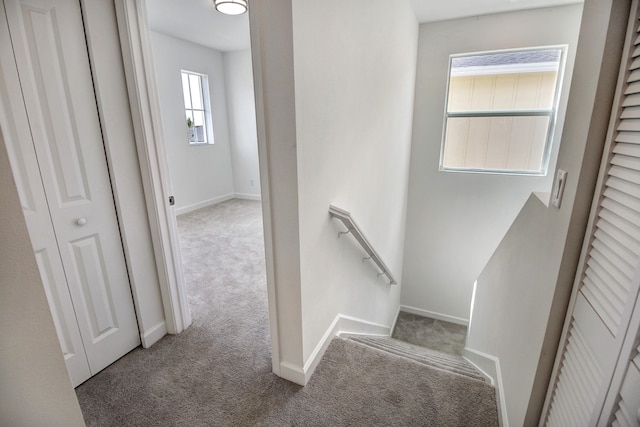 staircase featuring carpet