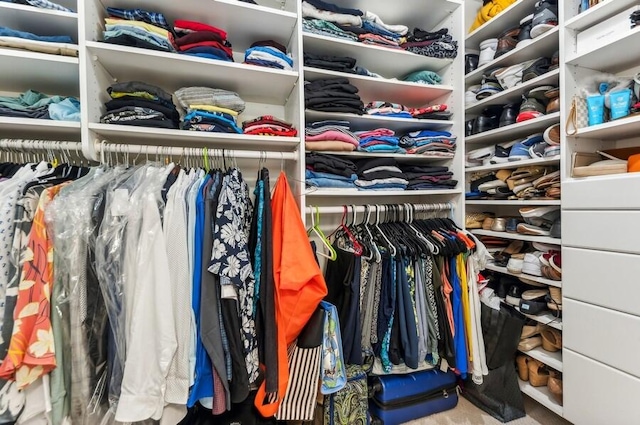 spacious closet with carpet floors