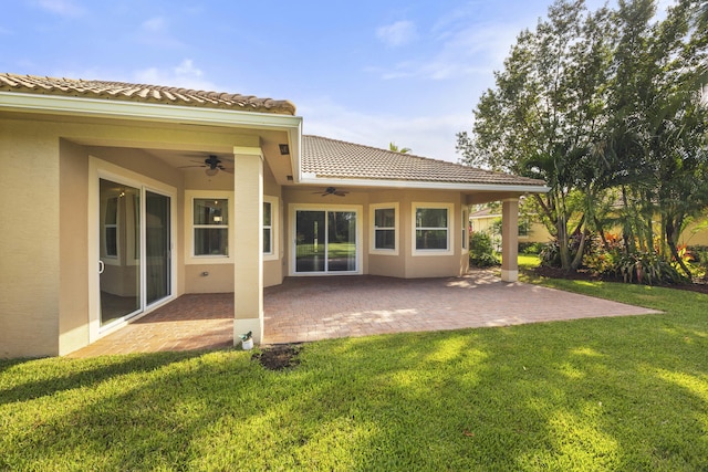 back of property with a yard, a patio area, and ceiling fan