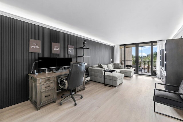 home office featuring light hardwood / wood-style flooring and expansive windows