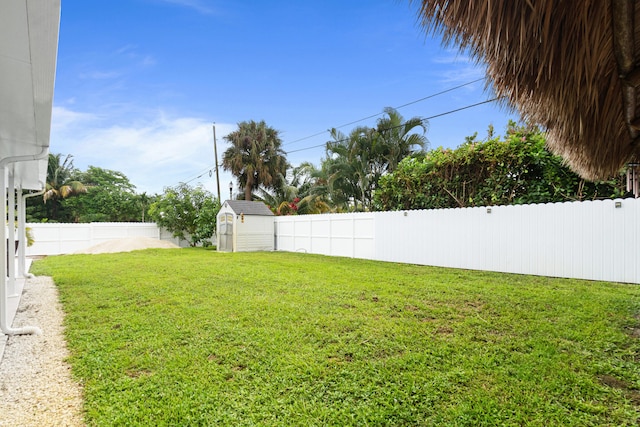 view of yard featuring a shed