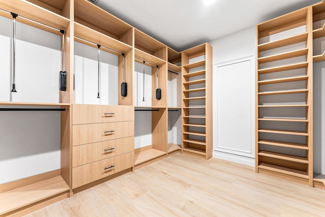 walk in closet with light wood-type flooring