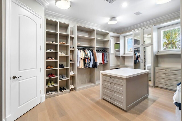 walk in closet with light wood-type flooring