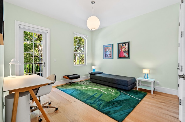 interior space featuring a wealth of natural light and hardwood / wood-style flooring