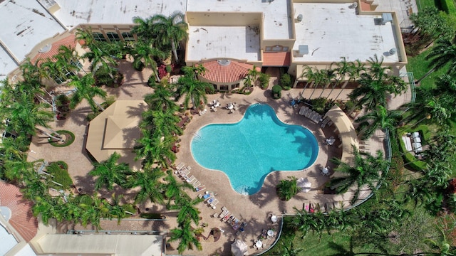 view of swimming pool with a patio