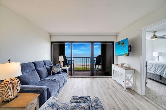 living room with light hardwood / wood-style floors and ceiling fan