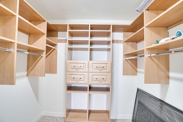 spacious closet with carpet flooring