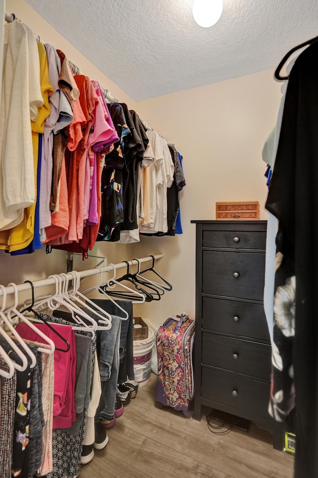 walk in closet with wood-type flooring