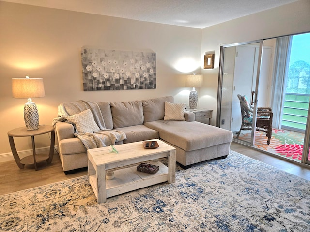 living room featuring hardwood / wood-style floors