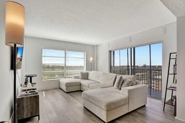 4174 Inverrary Dr Unit 914, Lauderhill, FL 33319 - living area featuring light wood-style flooring, a textured ceiling, and plenty of natural light