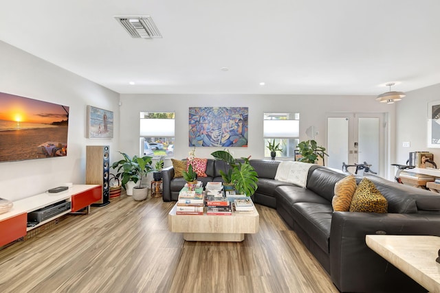 living room featuring french doors, wood-type flooring, and a healthy amount of sunlight