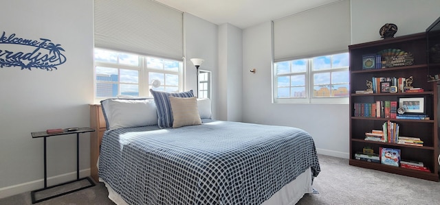 carpeted bedroom with multiple windows