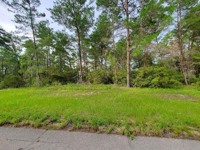 0 SW 43rd Cir, Ocala FL, 34473 land for sale