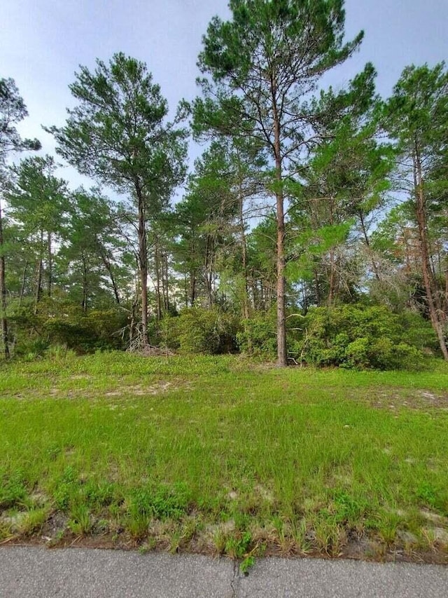 Listing photo 3 for 0 SW 43rd Cir, Ocala FL 34473