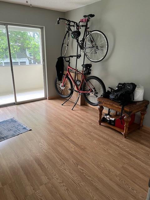 interior space featuring light hardwood / wood-style floors