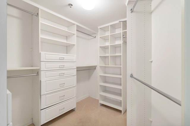 walk in closet featuring light carpet