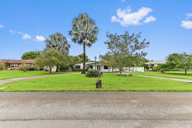 view of front facade with a front lawn