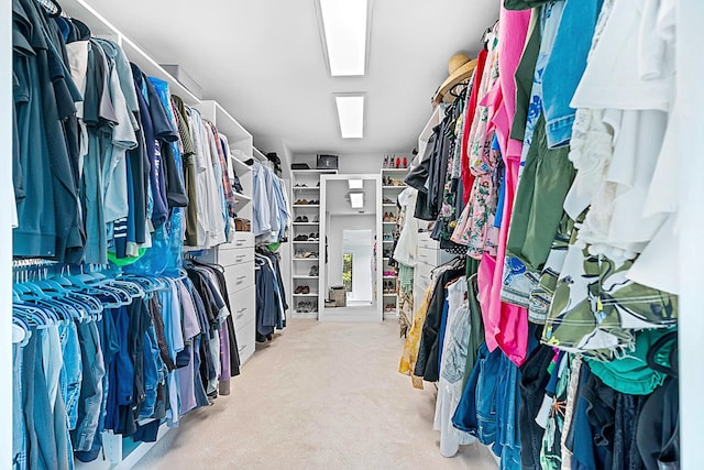 spacious closet featuring carpet