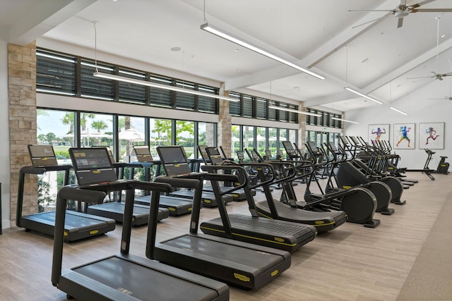 gym featuring a high ceiling, hardwood / wood-style floors, and ceiling fan