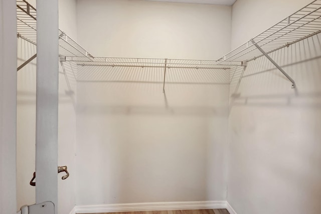 walk in closet featuring wood-type flooring