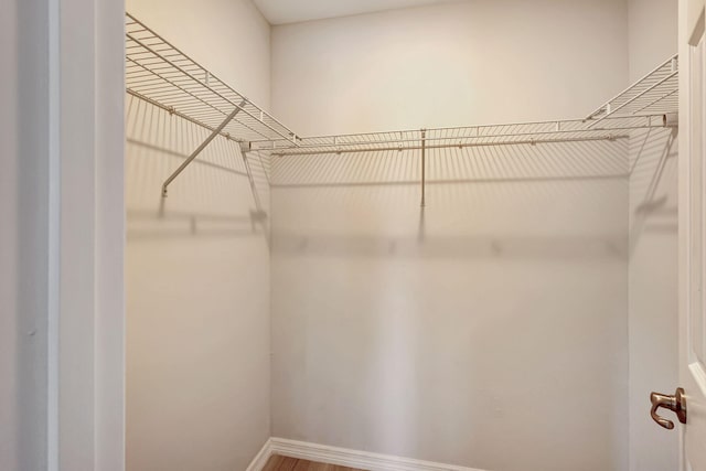 walk in closet featuring hardwood / wood-style floors