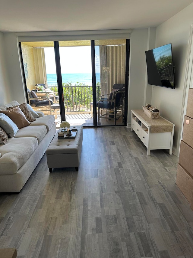 living room featuring a wall of windows and dark hardwood / wood-style floors