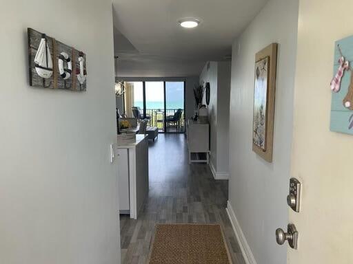 hall featuring expansive windows and dark hardwood / wood-style flooring