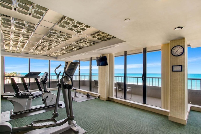 exercise room with carpet floors, a healthy amount of sunlight, and floor to ceiling windows