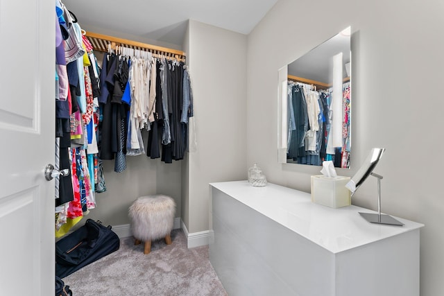 spacious closet with carpet