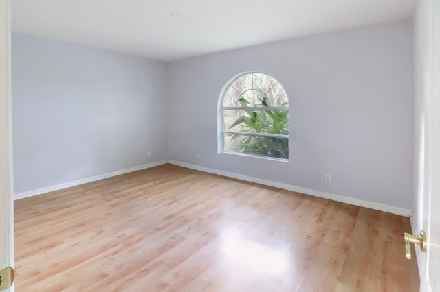 spare room with light hardwood / wood-style floors